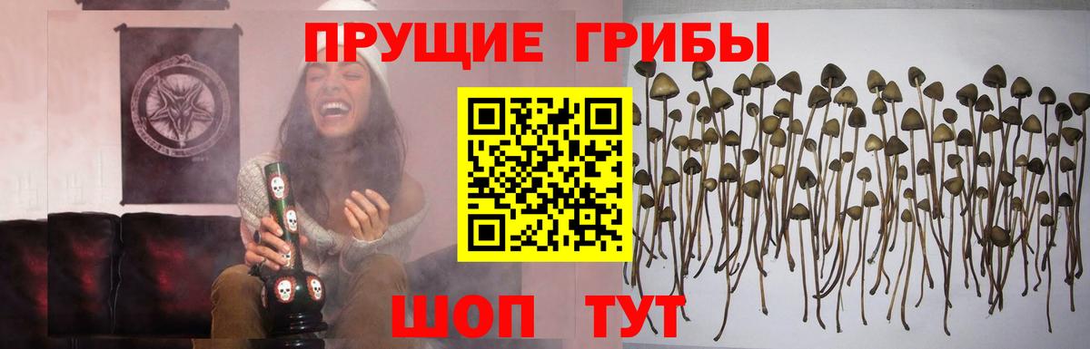 Галлюциногенные грибы мухоморы Зерноград